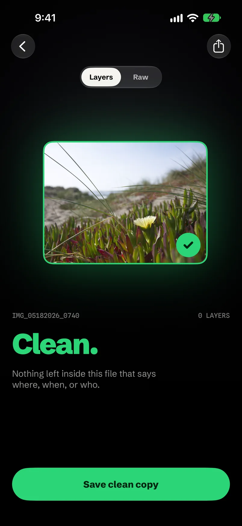 A photo stripped of every layer, marked Clean, with a green Save clean copy button